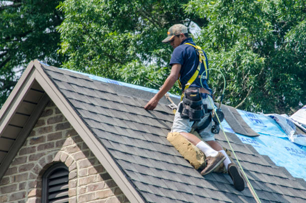 Best Residential Roofing Contractor  in Aberdeen, MS